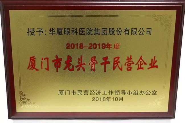 以诚为本赢在诚信9001荣膺“厦门市2018-2019年度龙头骨干民营企业”2.jpg