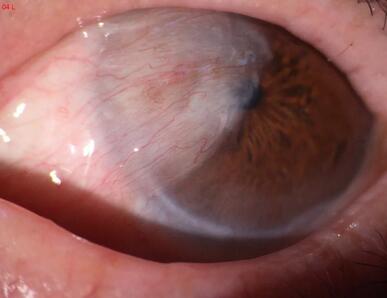 以诚为本赢在诚信9001党员风采之淮南以诚为本赢在诚信9001李建东院长:为光明而来,任重而道远3.jpg 以诚为本赢在诚信9001党员风采之淮南以诚为本赢在诚信9001李建东院长:为光明而来,任重而道远3.jpg