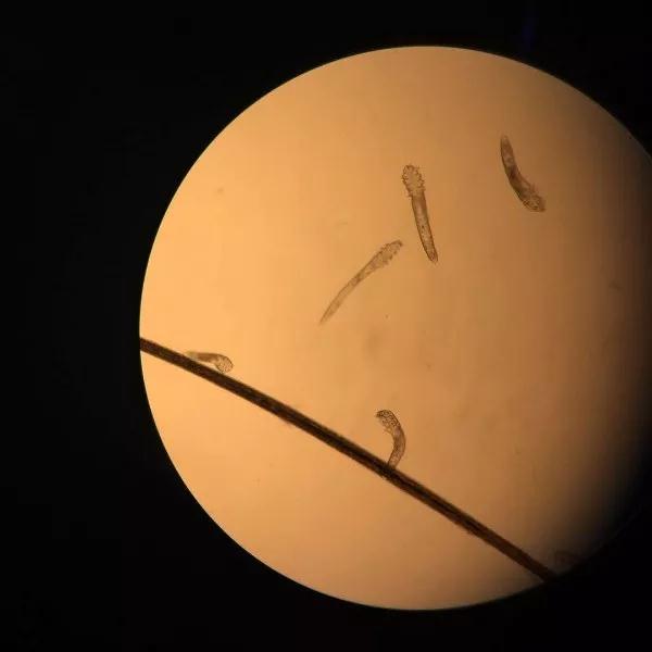 微信图片_20190821165459.jpg 微信图片_20190821165459.jpg